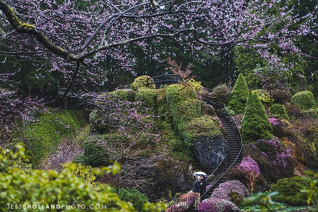 Butchart Proposal Photography | Jesse Holland Photography | Victoria BC ...